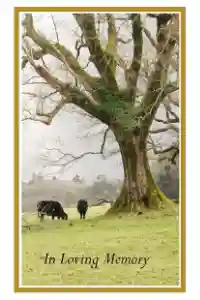 Cows Under Tree