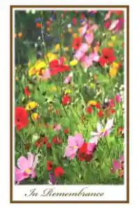Field of Flowers