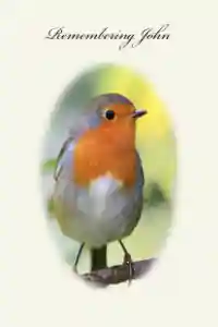 Robin