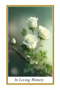 White Roses